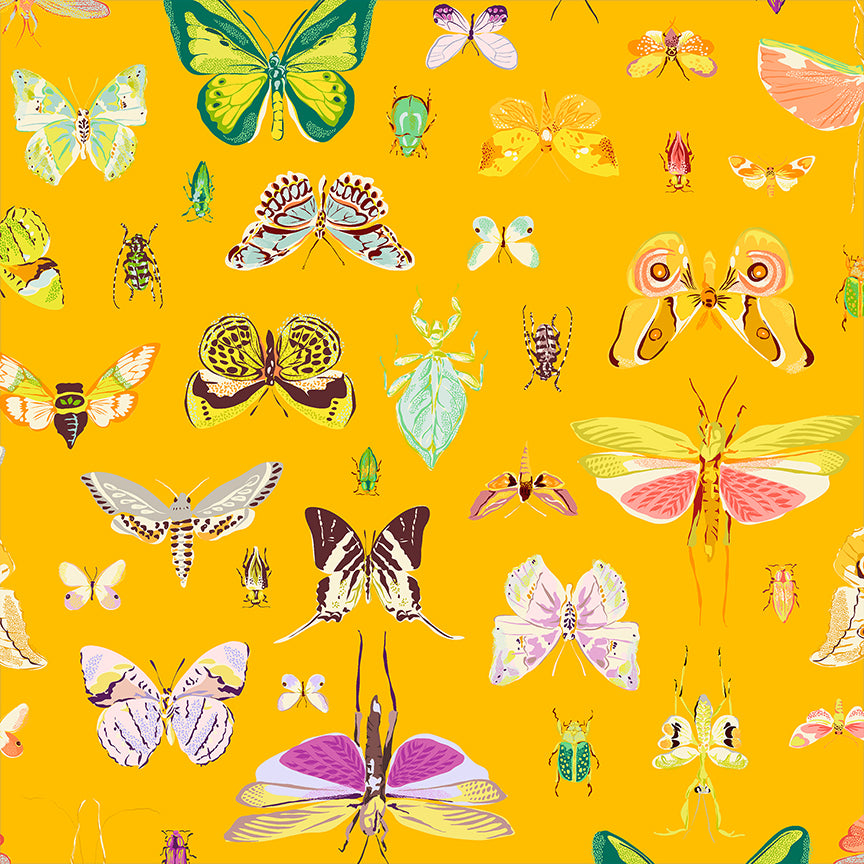 Tamara Kate - Insectarium - On Display - Amber - Windham Fabrics ...